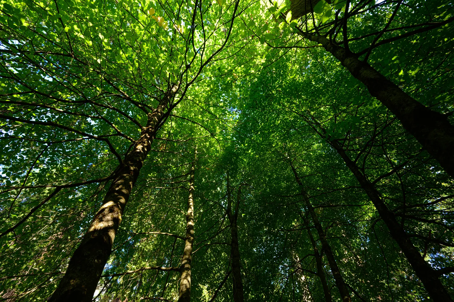Yosemite National Park.