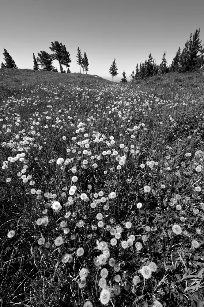Red Lodge, MT.