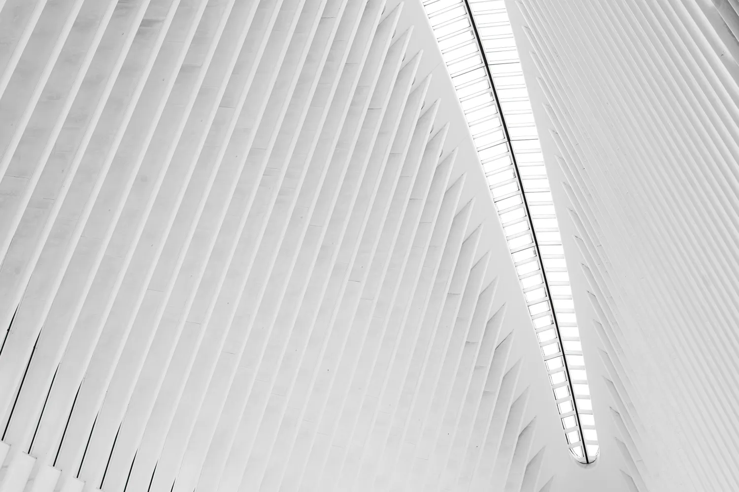 Oculus, NYC