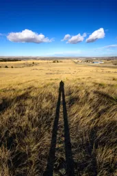Self-Portrait in Shadow