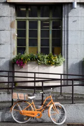 Early Autumn in Chamonix