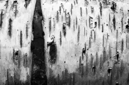 Aspen Detail