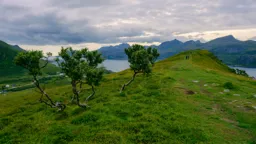 Hiking Above the Fjord