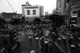 Shibuya Crossing