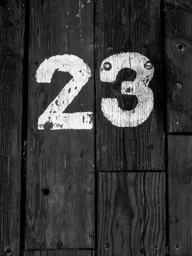 23