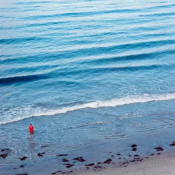 Del Mar Fishing