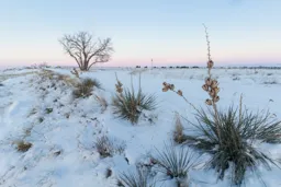 Dawn on the Rimrocks