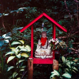 Forest Buddha