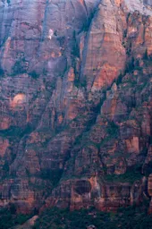 Red and Green in Zion