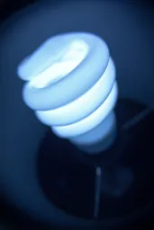 Blue Light Special