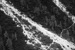 Alps Walkers