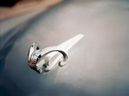 Vintage Ram