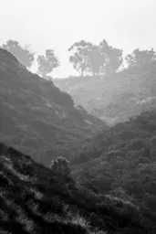 Foggy Morning on Mother MIguel Mountain