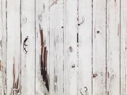 White Fence