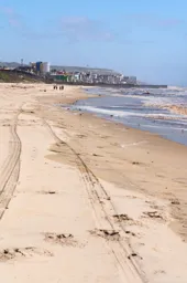 The Last Beach
