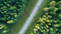 Green Drive