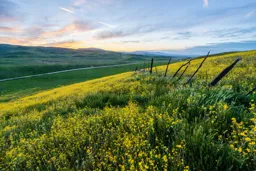 Carrizo Plain IV