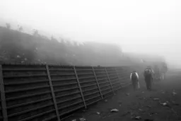 Into the Mist