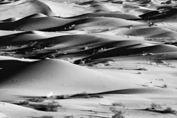 Dune Shadows