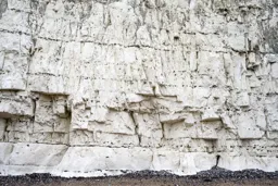 Beachy Head Detail I