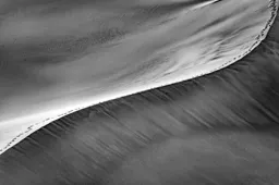 Dune Walk