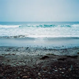 Cold Morning at Torrey Pines State Beach