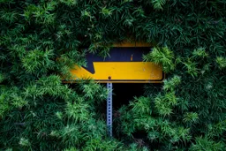 Turn Left