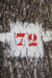 Trail Marker 72