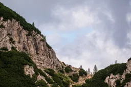 Into the Clouds