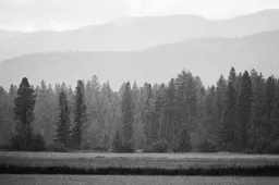 Afternoon Rainstorm in the Flathead Valley