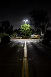 Night at the Park