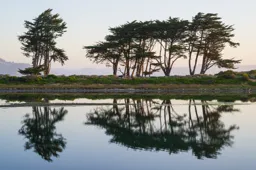 Reflection at Crissy Field