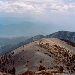 August on the Devil's Backbone