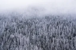 Mountainside