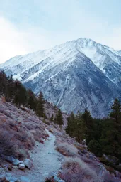 Cold Afternoon Along Big Pine Creek
