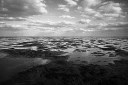 Afternoon Along the Broomway