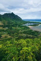 Kualoa View