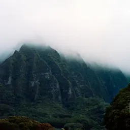 Mist on Koʻolau