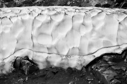 Snowbank