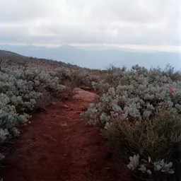 Red Earth on Viejas Mountain