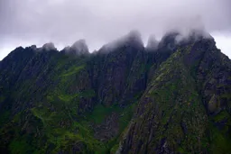 Misty Morning in Lofoten