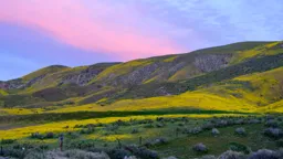Carrizo Plain V