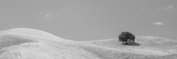 Califonria Hills Panorama