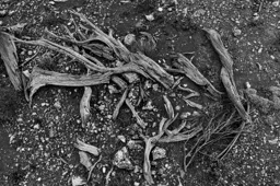 Sticks & Stones
