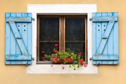 Alpine Window