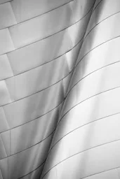 Walt Disney Concert Hall Detail