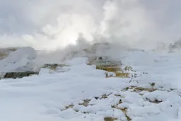Mammoth Hot Spring
