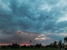 Dusk Flight