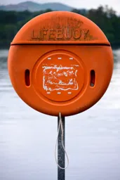 Lifesaver II
