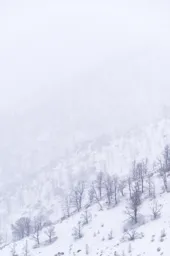 Whiteout in the Sierra Nevada